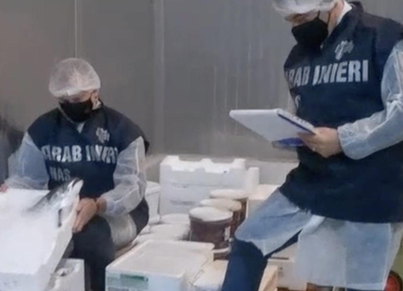 Controlli Nas contro il rischio Epatite A: sequestri di pesce e molluschi tra Napoli, Caserta e Salerno