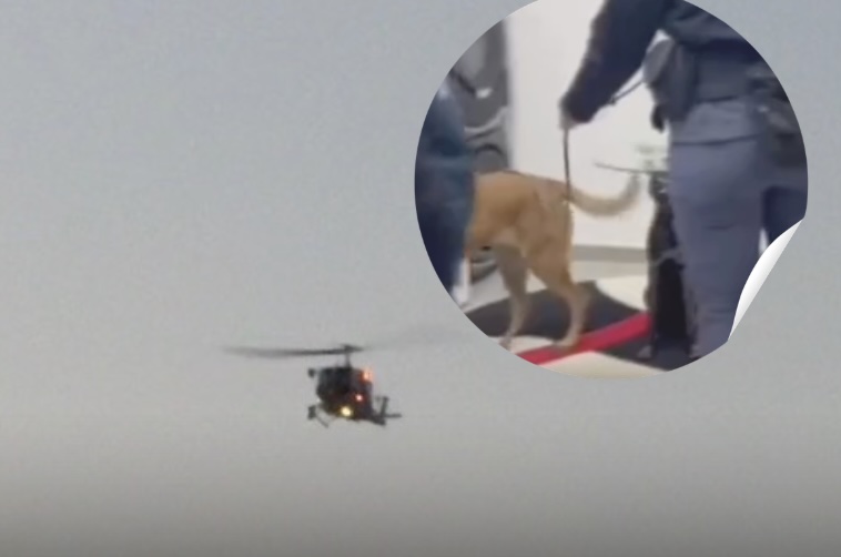 Giugliano, elicottero in volo: maxi blitz della Polizia: smantellata la “banda del buco”
