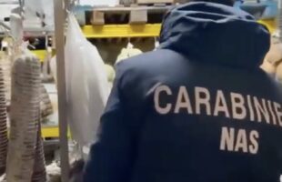 Salerno. Insetti in cucina, blatte e un topo morto, controlli dei Nas, locali chiusi e alimenti sequestrati
