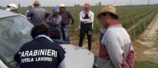Agro aversano, nei campi come schiavi: braccianti pagati 3 euro l'ora. Arrestati due imprenditori