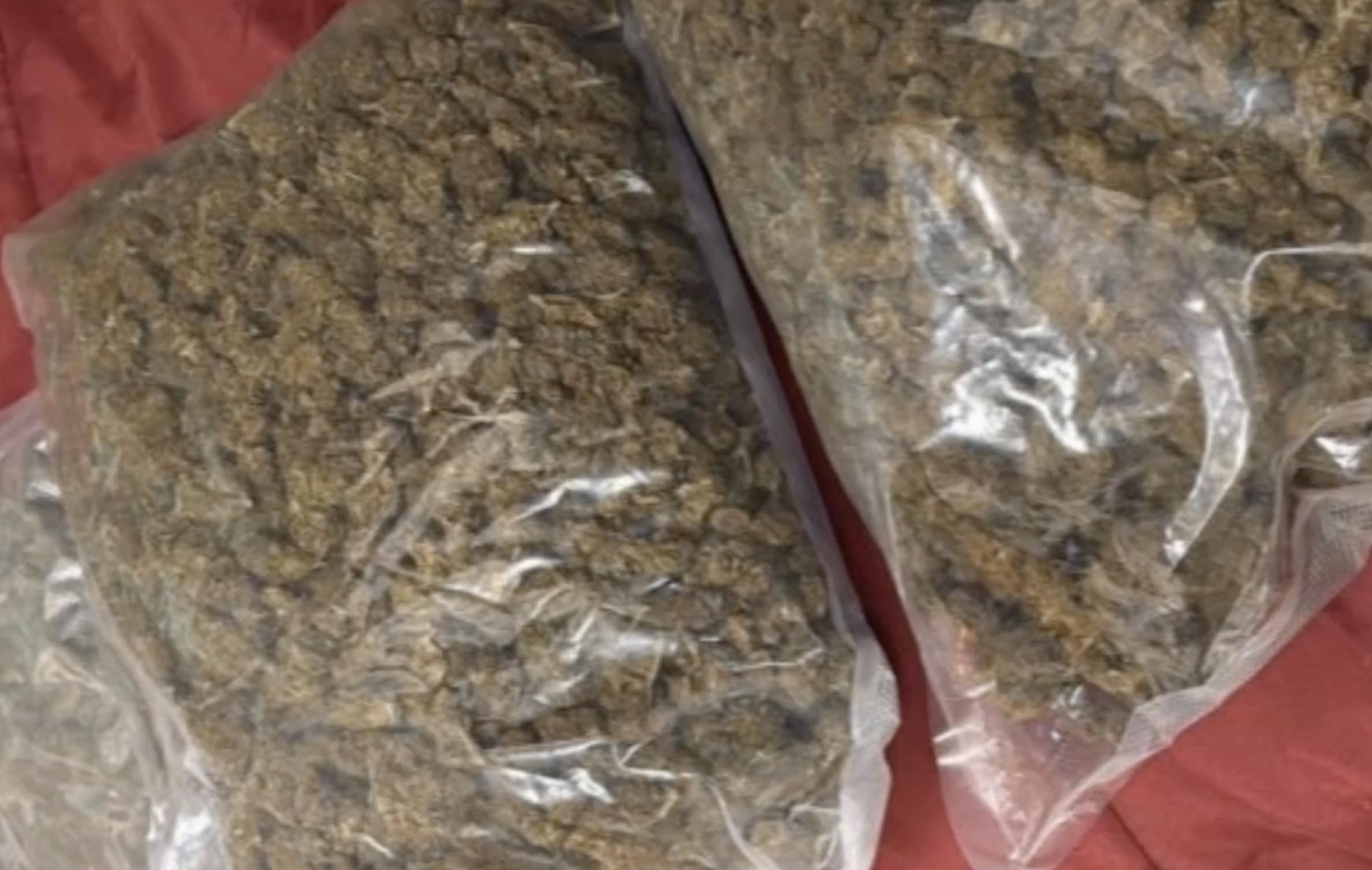 Spaccio tra Torre Annunziata e Sorrento, smantellata la rete: quattro arresti e oltre 300 cessioni di droga