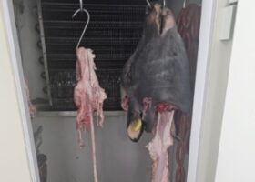 sequestro battipaglia 27/08
