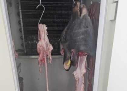 sequestro battipaglia 27/08