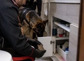Napoli, spaccio “di coppia”: hashish nascosto in bagno e negli slip di lei. Due arresti