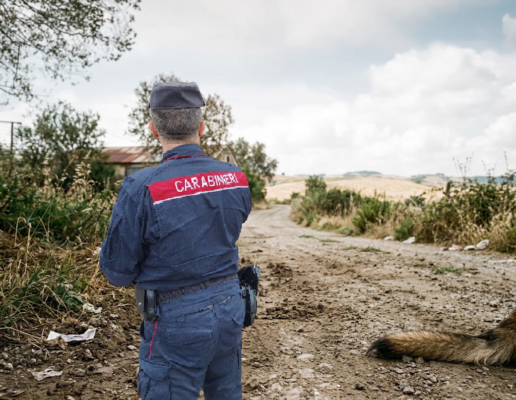 aversa affida il cane alla ditta per la cremazione la carcassa ritrovata abbandonata vicino casa da Teleclubitalia.it aversa affida il cane alla ditta per la cremazione la carcassa ritrovata abbandonata vicino casa