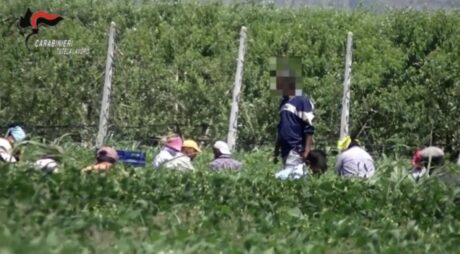 Villa Literno. Braccianti sfruttati nei campi: 14 ore al giorno per un euro a cassetta